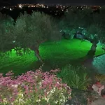 Dimitra's Garden