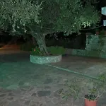 Dimitra's Garden