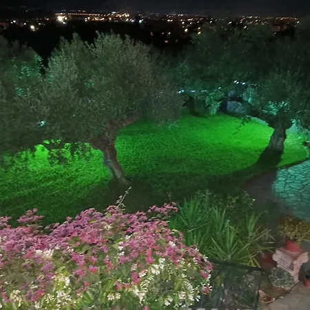 Dimitra's Garden Two