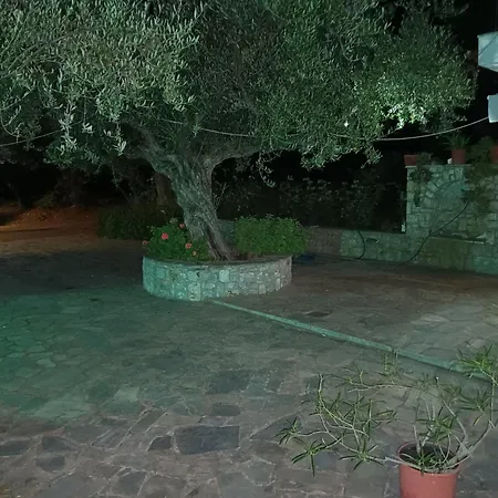 Dimitra's Garden Two